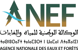 Logo ANEF – Agence Nationale des Eaux et Forêts